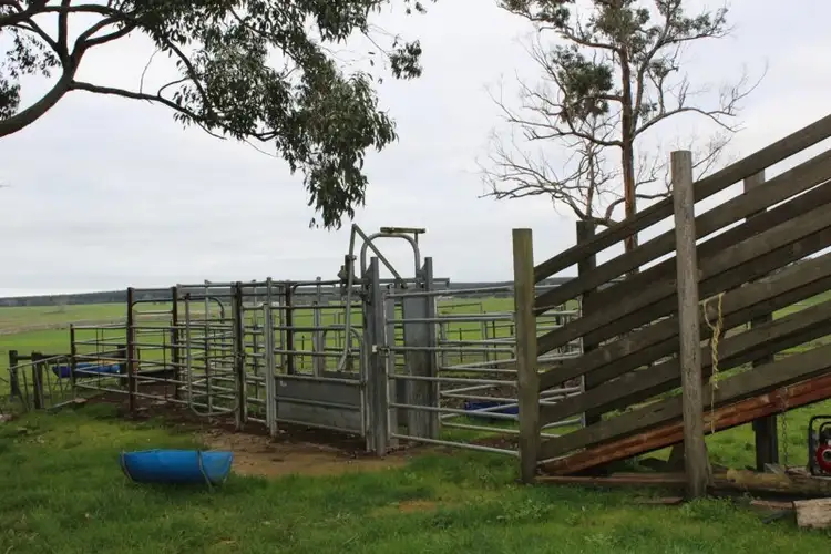 Second view of Homely rural property listing, 0 Cains Road, Condah VIC 3303