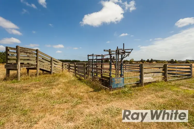 Sixth view of Homely rural property listing, 188 Coolart Road, Moorooduc VIC 3933
