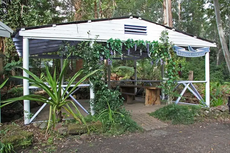 Fourth view of Homely rural property listing, 824 Batar Creek, Kendall NSW 2439