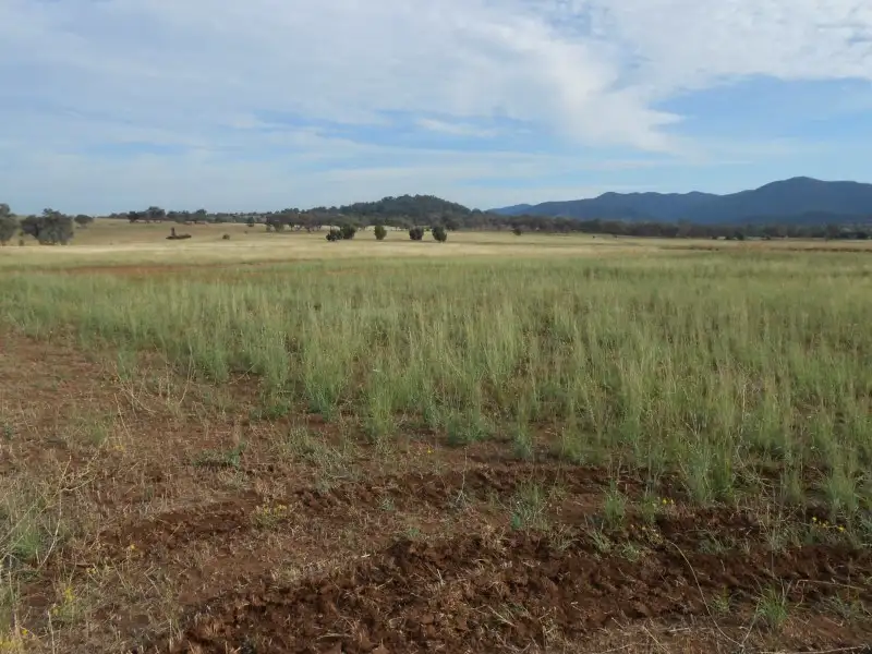 Main view of Homely land listing, 24 Glenmore Drive, Tamworth NSW 2340