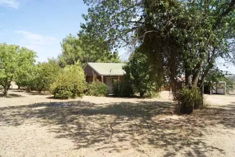 15 McCaffery Lane, Young NSW 2594