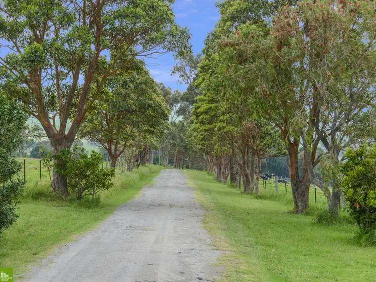 Sixth view of Homely house listing, 1315 Jamberoo Road, Jamberoo NSW 2533
