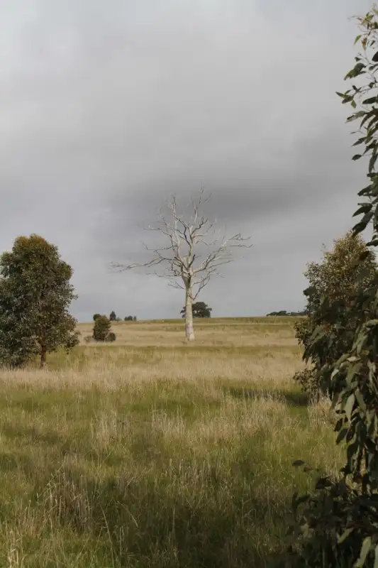 Second view of Homely land listing, Lot 8 Tuscan Court, Heathcote VIC 3523