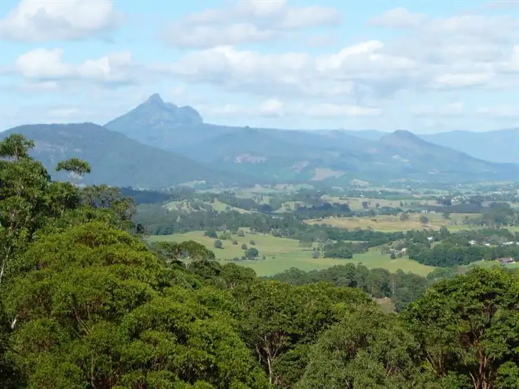130 Hammond Drive, Clothiers Creek NSW 2484