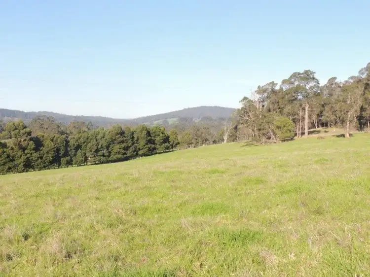 Fifth view of Homely rural property listing, 670 Scotsdale Road, Denmark WA 6333