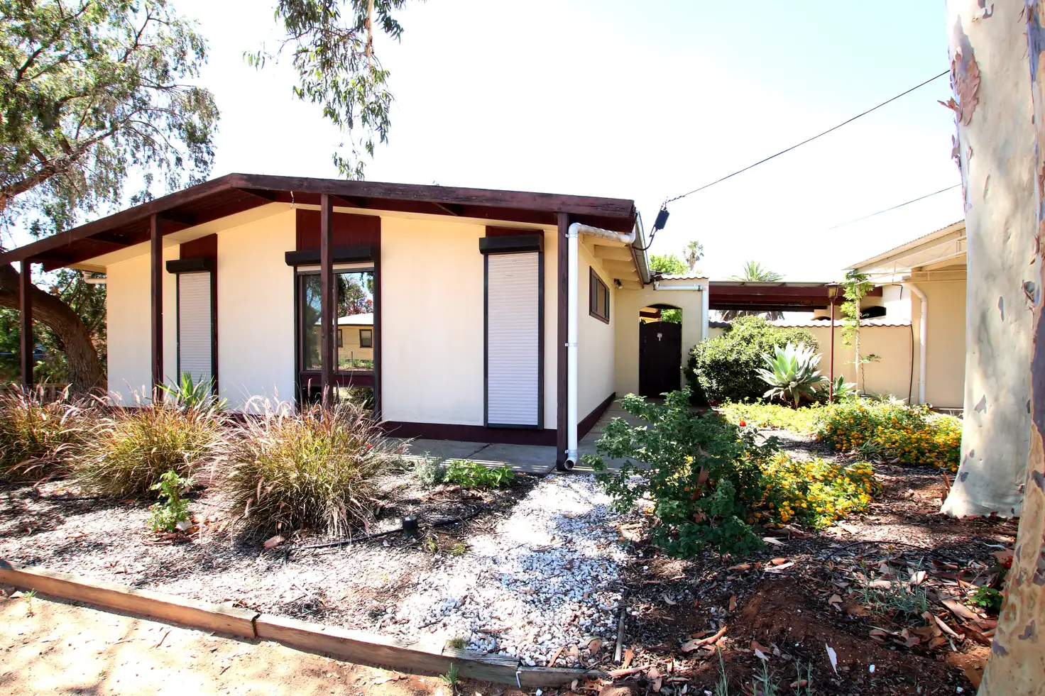 Main view of Homely house listing, 4 Collins Street, Barmera SA 5345