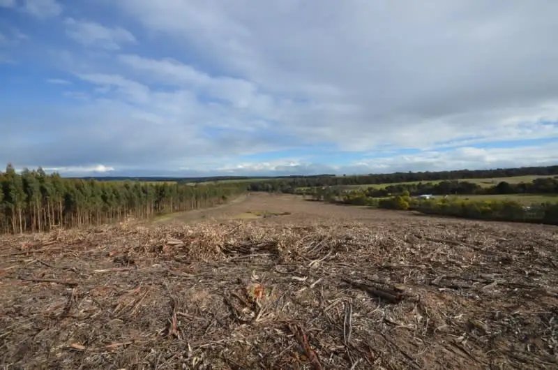 Main view of Homely rural property listing, Papadimitriou Graveyard Hill Road, Raglan VIC 3373