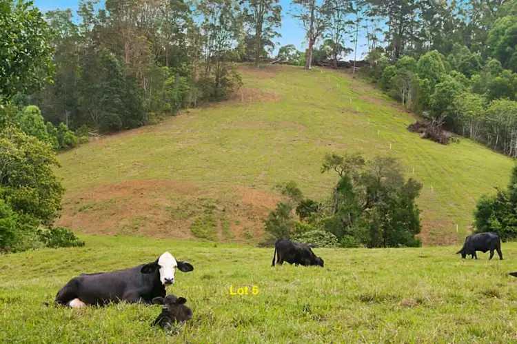 Lot 5, 19-23 Tarcoola Lane, Uki NSW 2484