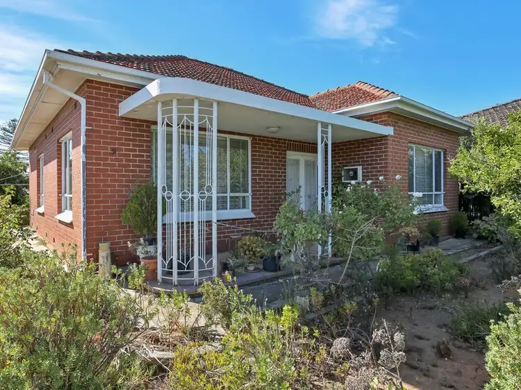 Main view of Homely house listing, 31 Acacia Avenue, Campbelltown SA 5074