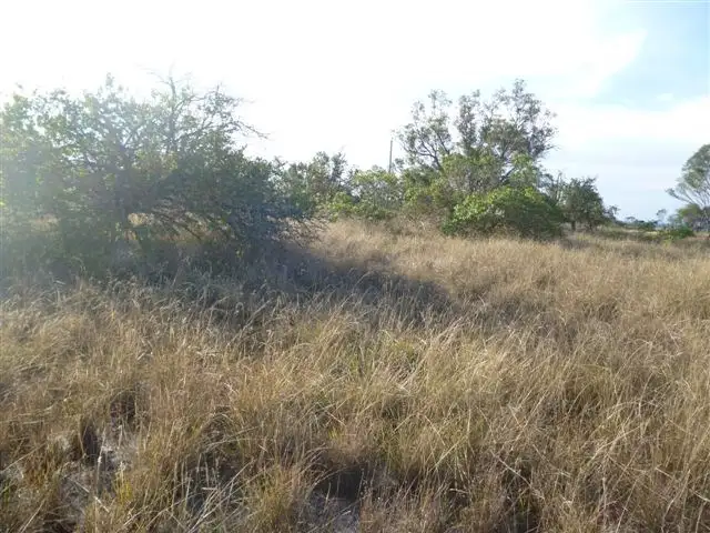 Third view of Homely land listing, 50 Wandoo Road, Katanning WA 6317