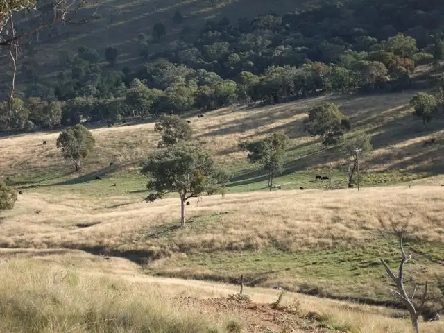 Seventh view of Homely rural property listing, Address available on request