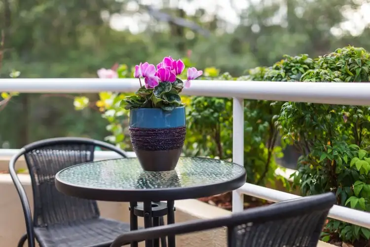 Seventh view of Homely apartment listing, 5/29 Stokes Street, Lane Cove NSW 2066