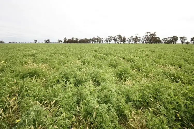 Second view of Homely rural property listing, 00 Dingee Serpentine Road, Serpentine VIC 3517
