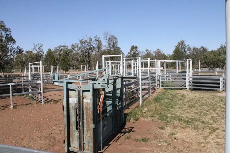 Third view of Homely rural property listing, . "BAR-K" and "PINNEENA", Chinchilla QLD 4413