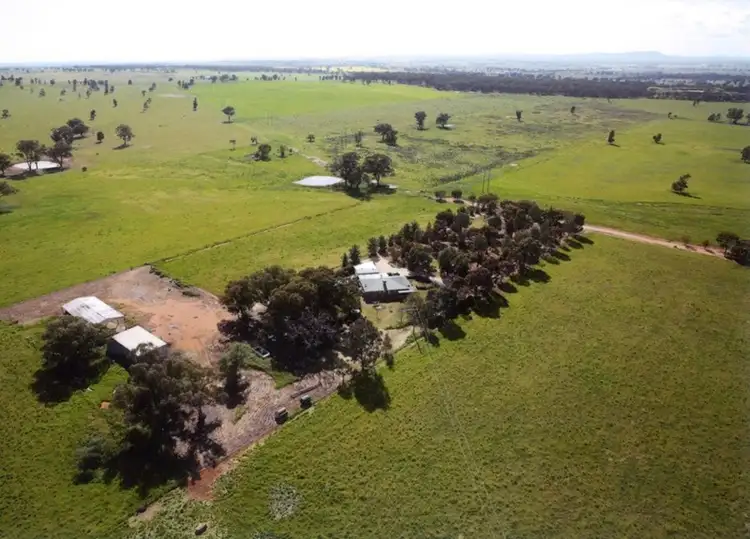151 Daroobalgie Road, Forbes NSW 2871