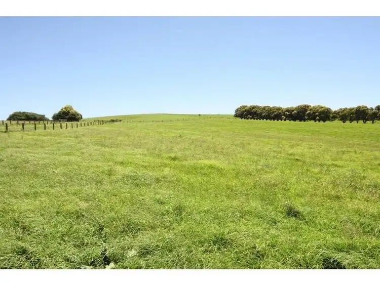 Seventh view of Homely rural property listing, 10 Rocky Creek Road, Dorrigo NSW 2453