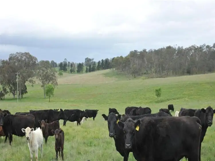 Main view of Homely land listing, "Allawah" Leechs Gully Road, Tenterfield NSW 2372