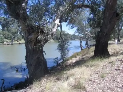 Seventh view of Homely rural property listing, 276 Boggy Creek Road, Deniliquin NSW 2710