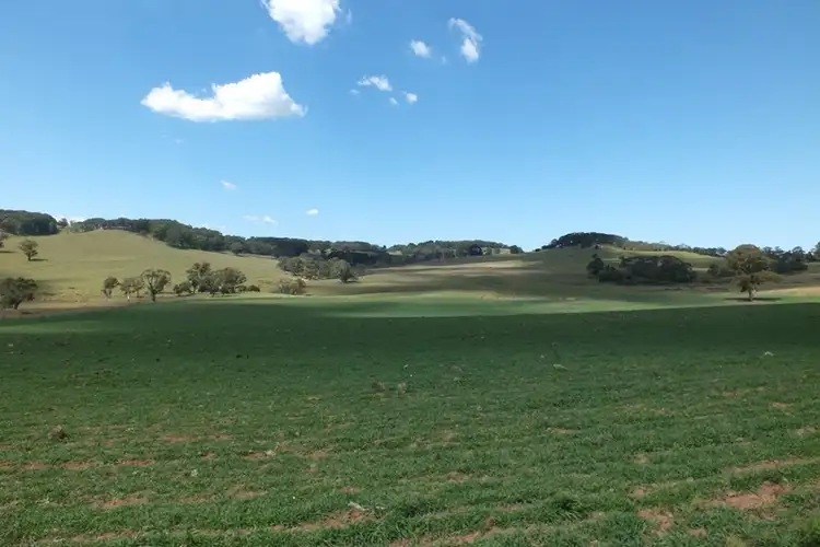 Seventh view of Homely rural property listing, Lot 3 189 Norman Lea Road, Hampton NSW 2790