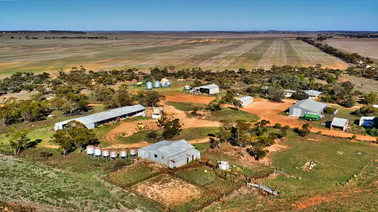 Main view of Homely rural property listing, Mindarie Downs 602 McCabe Road, Wanbi SA 5310