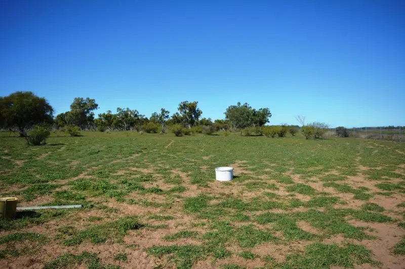 Main view of Homely land listing, 6 Corkwood Road, Barcaldine QLD 4725