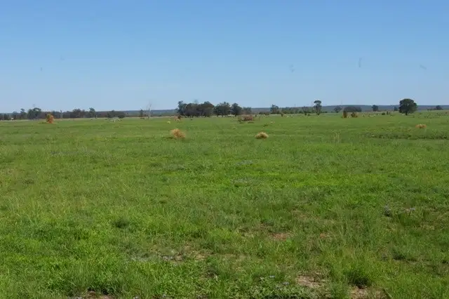 0 Texas-Yelarbon Road, Beebo QLD 4385