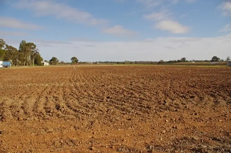 Fourth view of Homely rural property listing, 298 Kulkyne Street, Renmark SA 5341