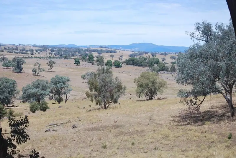 Main view of Homely rural property listing, Address available on request