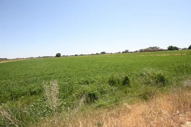 Fourth view of Homely rural property listing, 849 Singer Road, Bamawm VIC 3561
