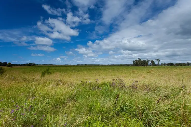 Seventh view of Homely land listing, 319 Manning Point Road, Oxley Island NSW 2430