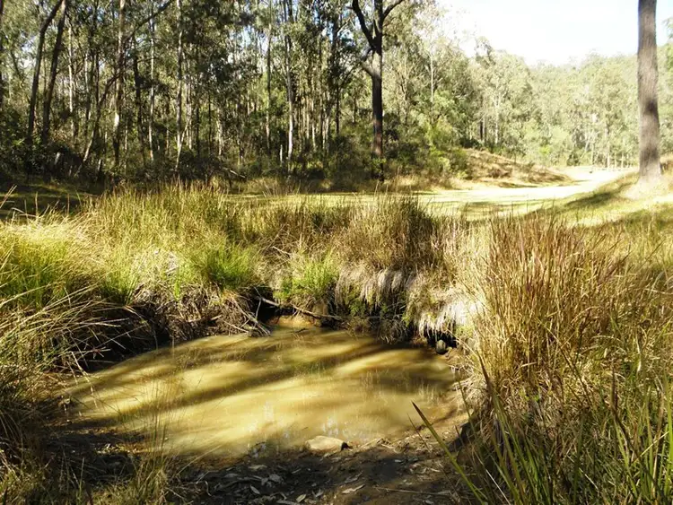Fourth view of Homely rural property listing, Lot 1024 Yango Creek Road, Laguna NSW 2325
