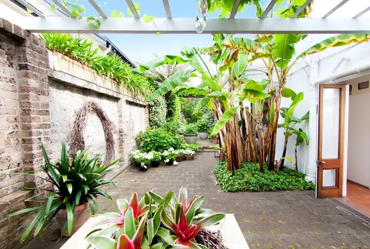 Fourth view of Homely terrace listing, 127 Queen Street, Woollahra NSW 2025