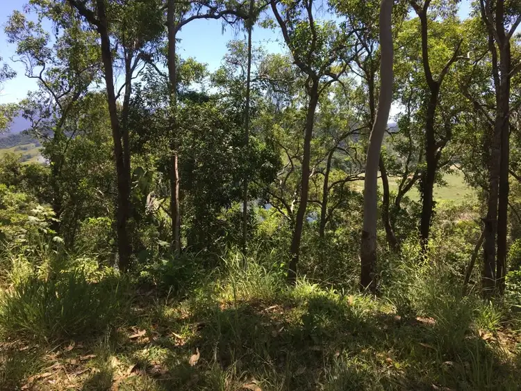 Third view of Homely land listing, Lot 1 Stewart Creek Road, Daintree QLD 4873