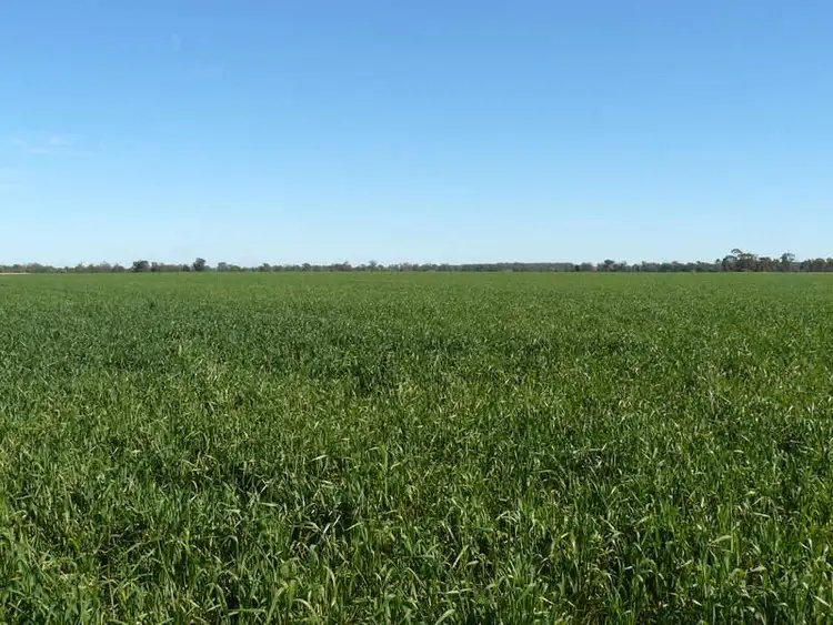 Main view of Homely rural property listing, " Wilga Park ", Pallamallawa NSW 2399