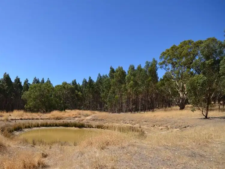 Fifth view of Homely rural property listing, Dreamers Hill Road, Linton VIC 3360