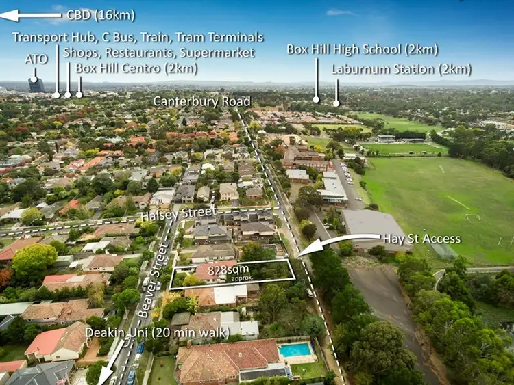 Second view of Homely house listing, 7 Beaver Street, Box Hill South VIC 3128
