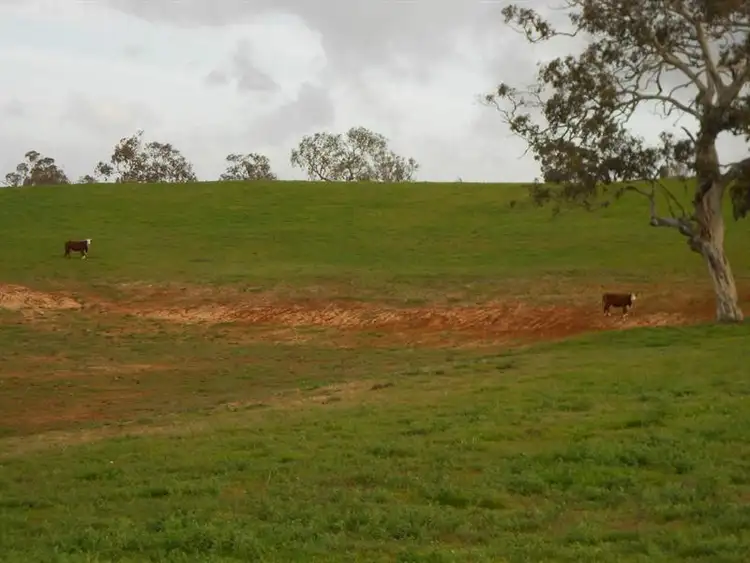 Third view of Homely rural property listing, Sec 216 and 231 Boddington West Road, Naracoorte SA 5271