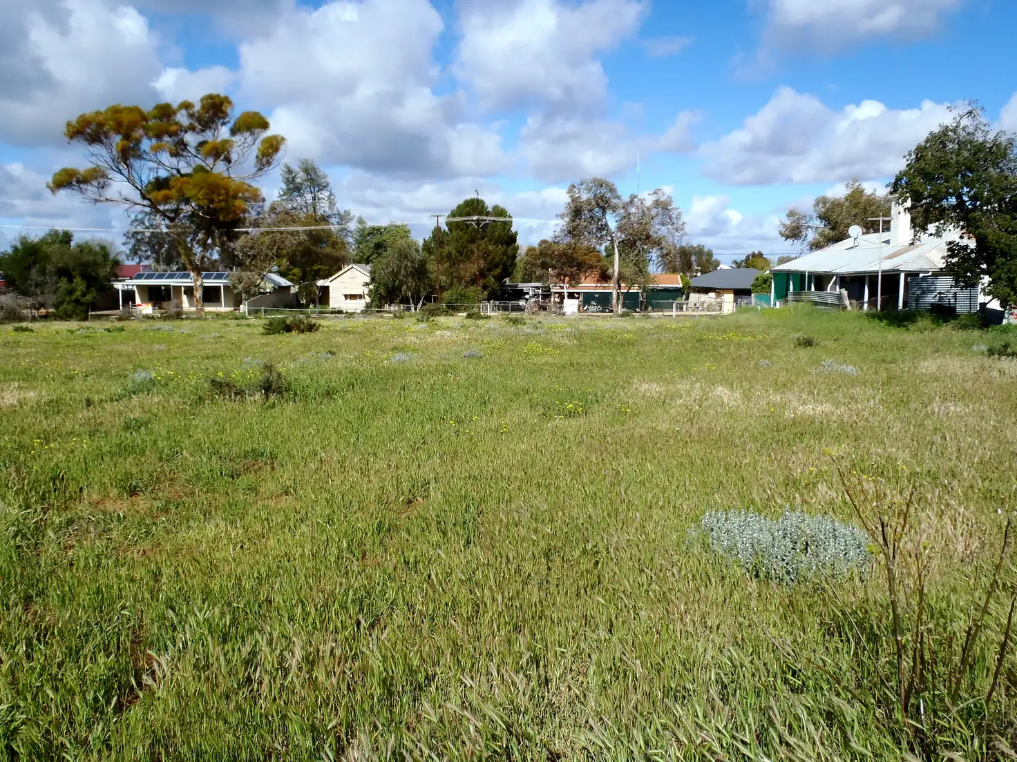 Main view of Homely land listing, 17 Muscat Avenue, Berri SA 5343