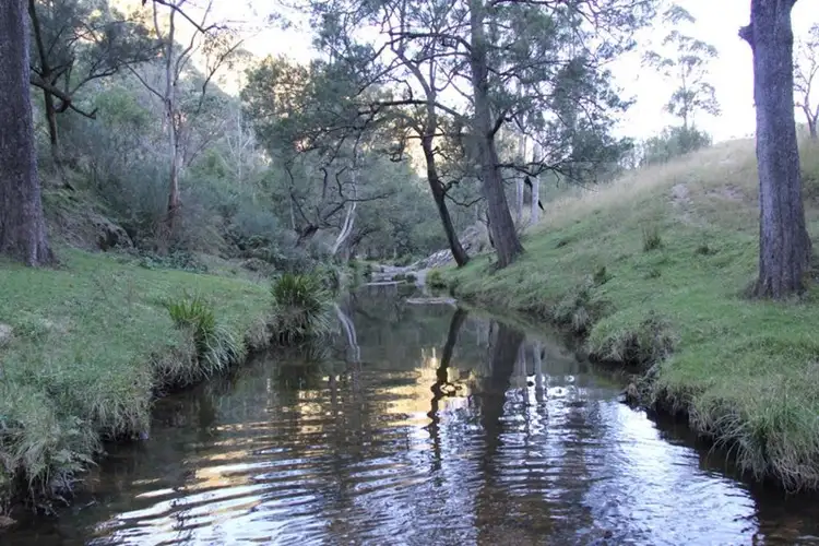Second view of Homely rural property listing, 10201 Bruxner Highway, Tenterfield NSW 2372