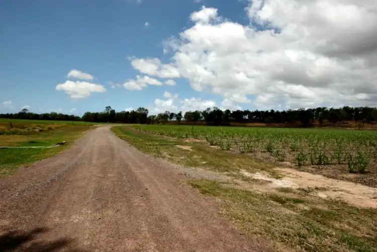 Seventh view of Homely rural property listing, 89806 Bruce Highway, Sarina QLD 4737