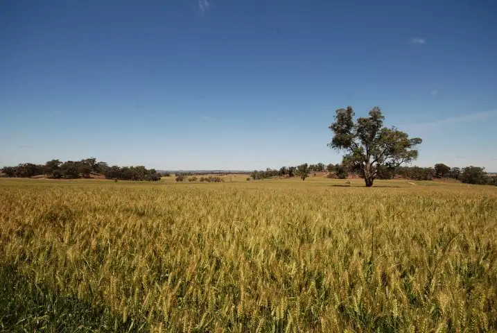 Seventh view of Homely rural property listing, 117 Bradford exchange Road, Narrogin WA 6312