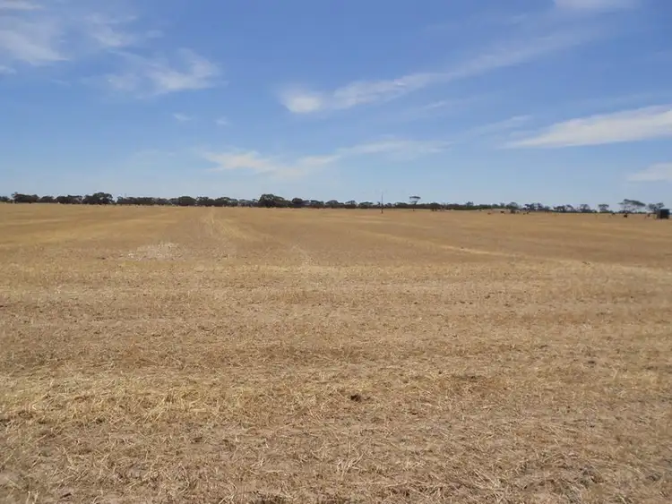 Seventh view of Homely rural property listing, 4703 Emu Flat Road, Bordertown SA 5268