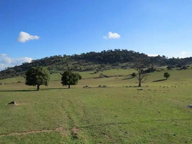 Main view of Homely rural property listing, 185 Trout Farm Road, Wyangala NSW 2808
