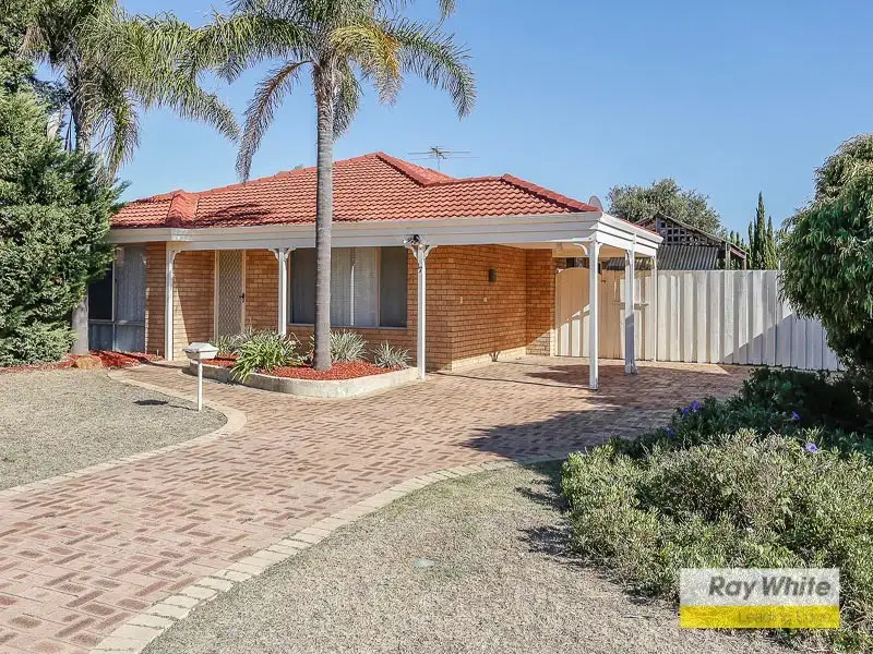 Main view of Homely house listing, 17 Pitchford Glade, Clarkson WA 6030