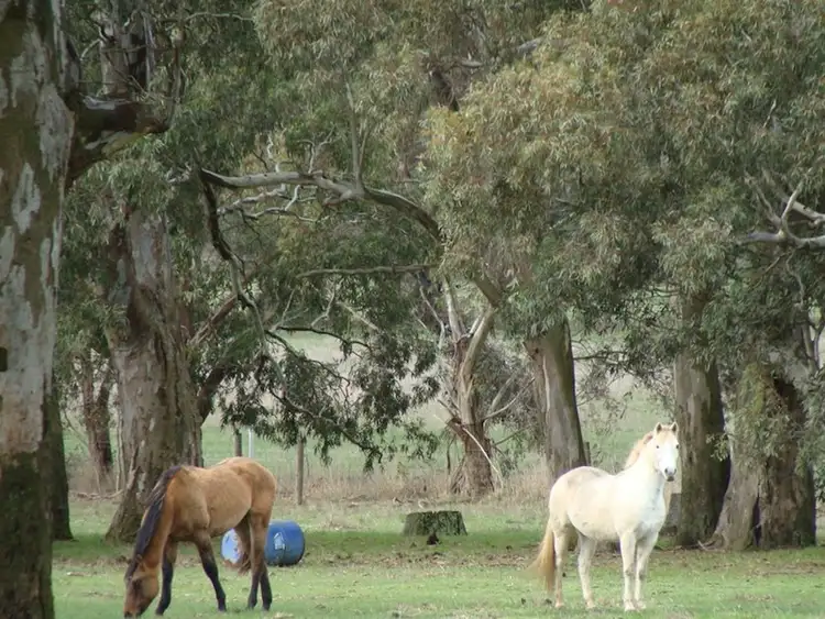 Third view of Homely rural property listing, 000 Hamilton - Digby Road, Hamilton VIC 3300