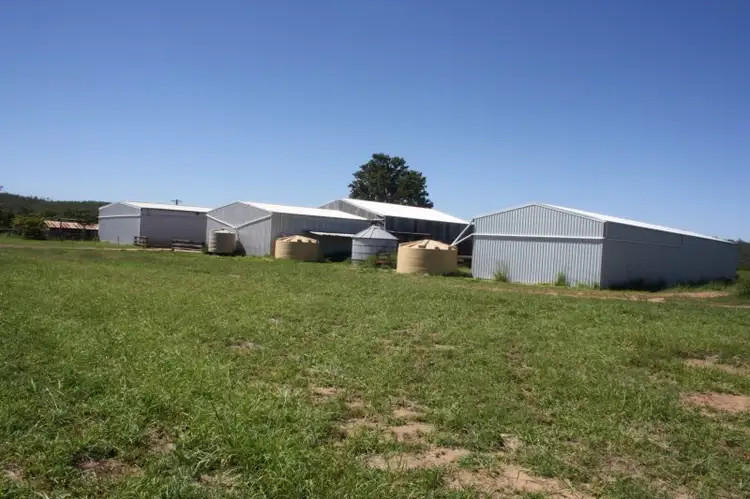 Fifth view of Homely rural property listing, 157 A Creek Road, Eidsvold QLD 4627