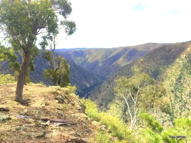 Main view of Homely rural property listing, 38 Mckane Road, Windellama NSW 2580