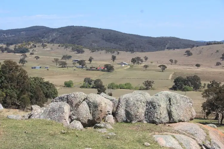 Fourth view of Homely rural property listing, 924A Kildare Road, Tenterfield NSW 2372