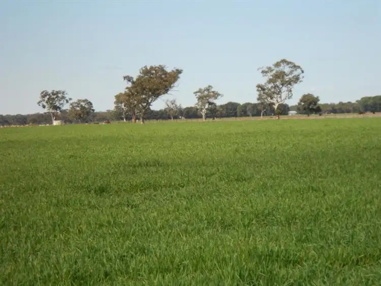 Third view of Homely rural property listing, 255 Wagenknecht Road, Bordertown SA 5268