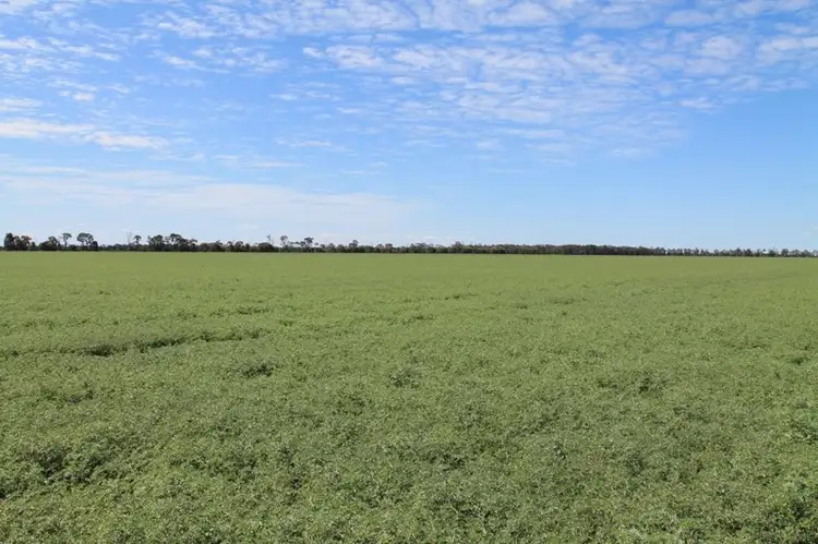 Sixth view of Homely rural property listing, 9698 ROMA - CONDAMINE Road, Condamine QLD 4416